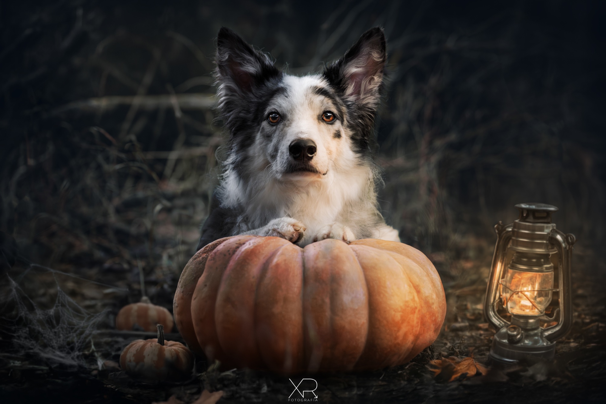 Sesión temática de Halloween
