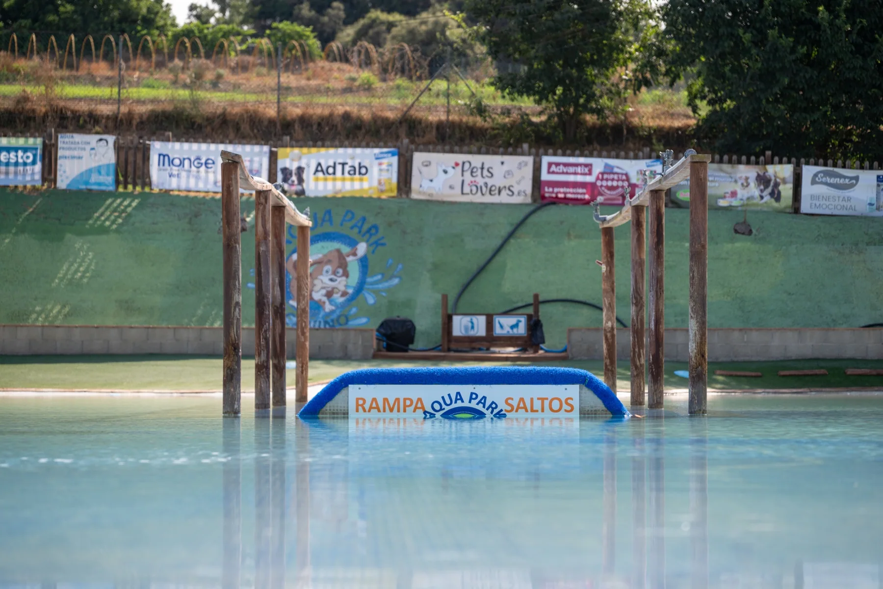 Instalación de un evento canino con presencia de patrocinadores