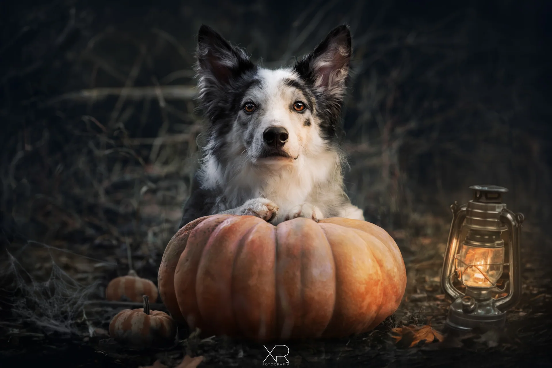 Sesión temática de Halloween