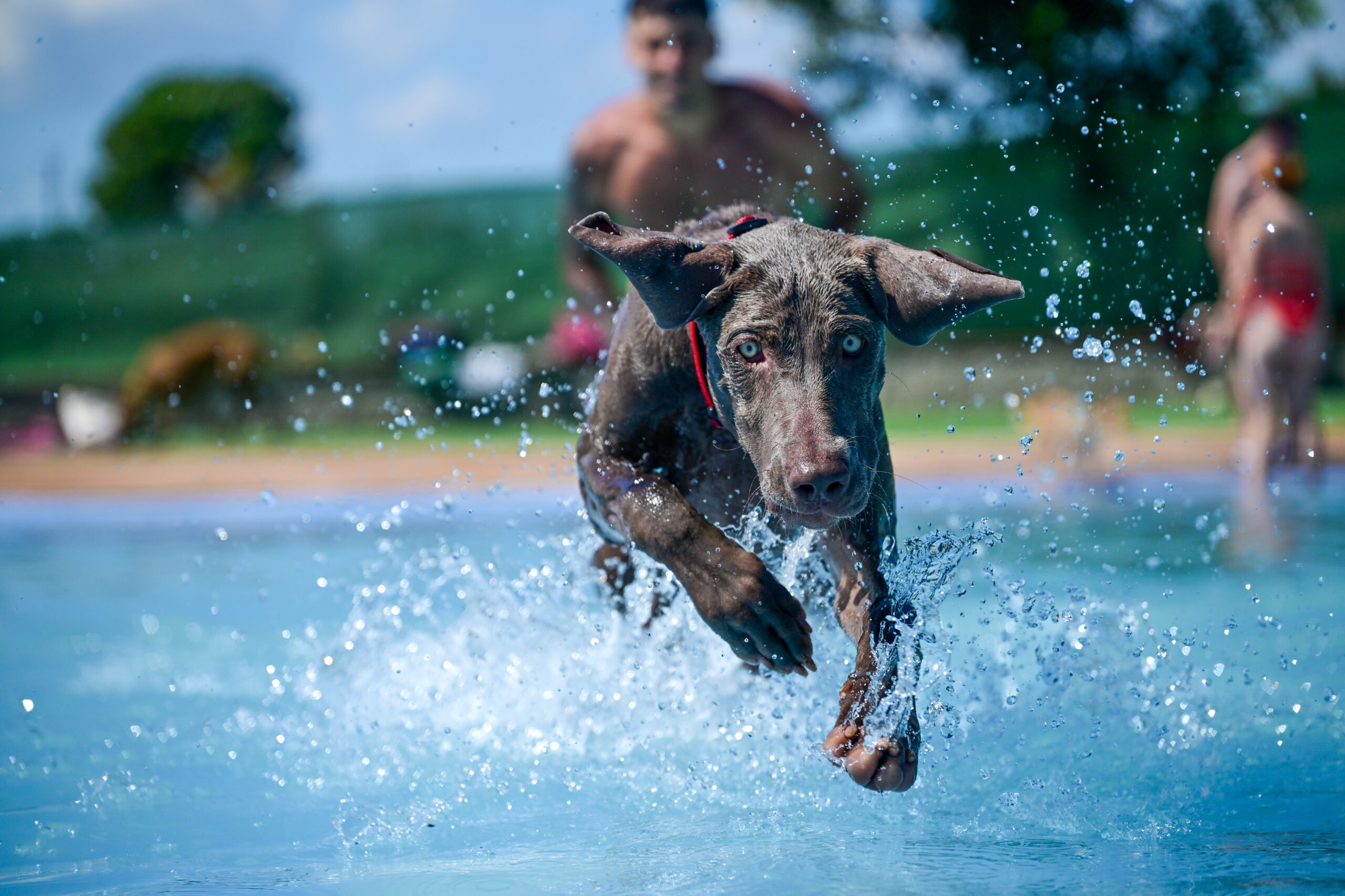 Salto refrescante en Perros al Agua